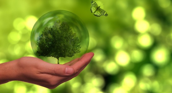 ELŐADÁS: A fenntarthatóság és az ESG vállalatirányítási szempontú gyakorlati megközelítése