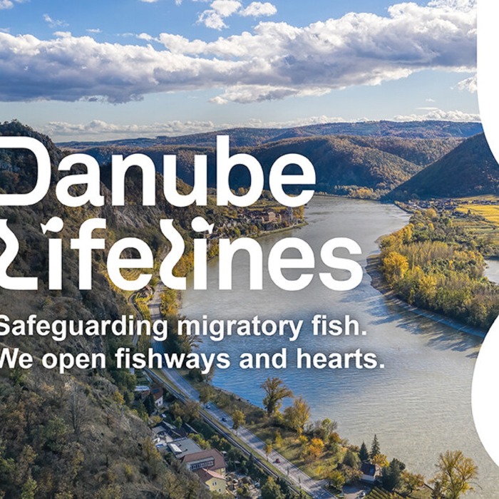 Állítsuk helyre óceánjainkat és vizeinket - a Duna vízgyűjtő területének ökológiai helyreállítása.