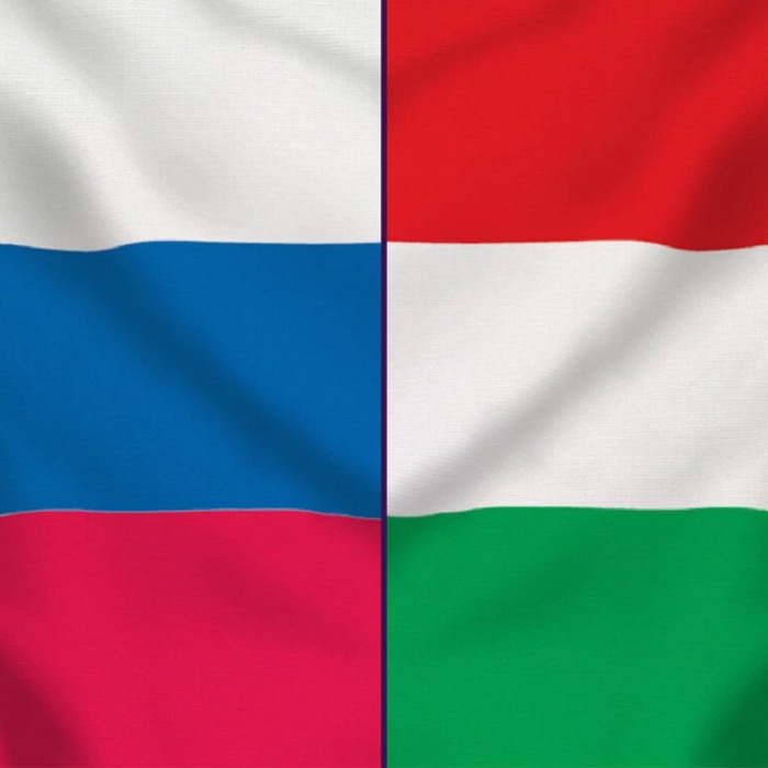 Szlovén-Magyar Gazdaságfejlesztési Fórum és B2B