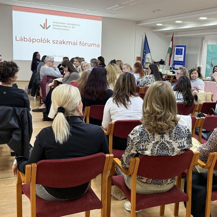 Lábápolók szakmai napja Veszprémben, vasi előadóval