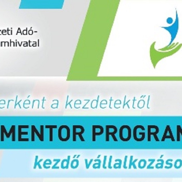 NAV Mentor Program