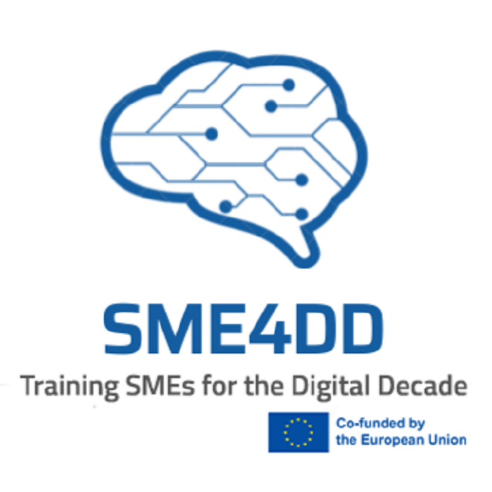 SME4DD workshop