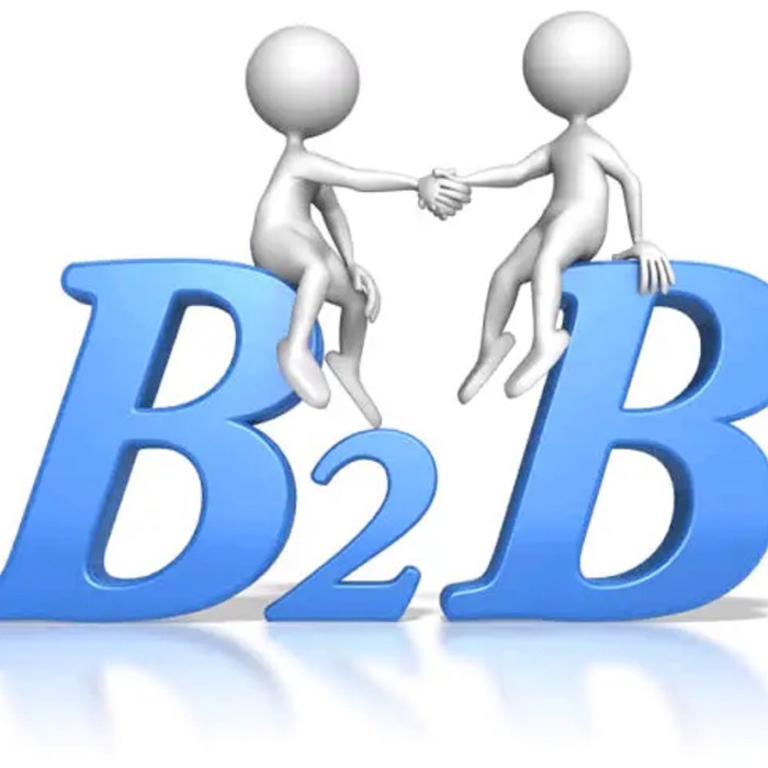 Co-Matching 2025 Virtuális B2B Matchmaking Esemény