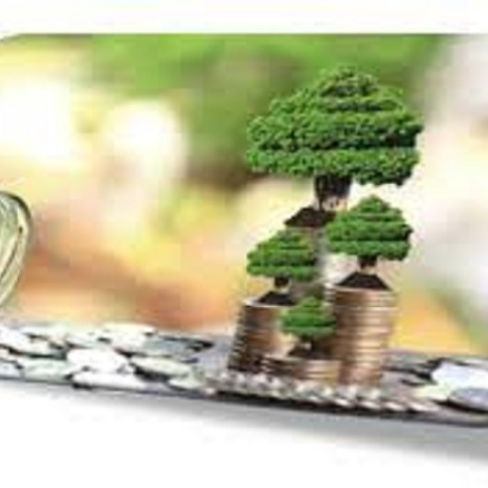 Dekarbonizációs támogatási programok - tájékoztató szakmai nap